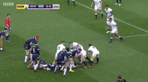 Animated GIF - Find & Share on GIPHY
