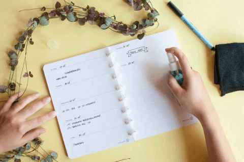 review greenbook erasable notebook uitwisbaar