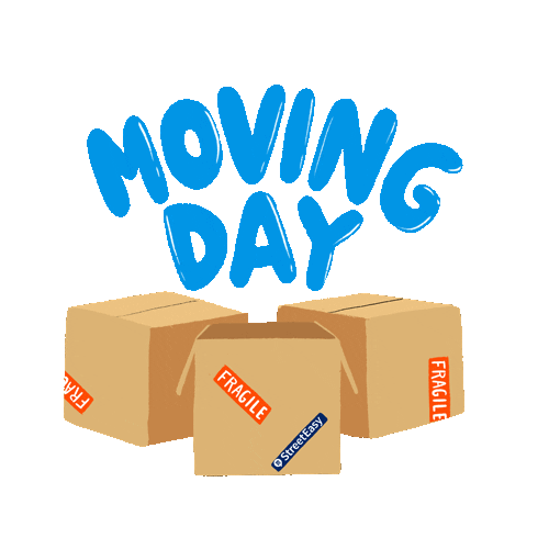 Cat Moving Sticker by StreetEasy for iOS & Android GIPHY