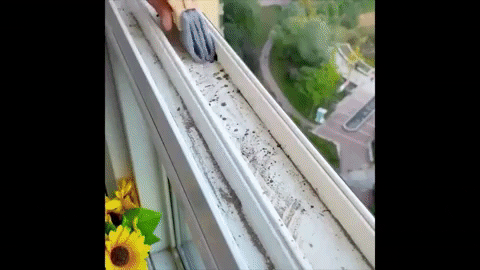 Magic Window Cleaning Brush