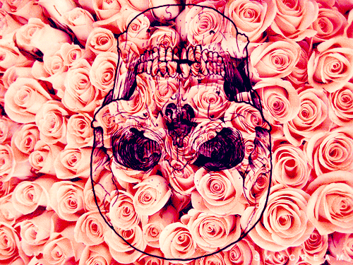 skull gif find amp share on giphy skull gif find amp share on giphy