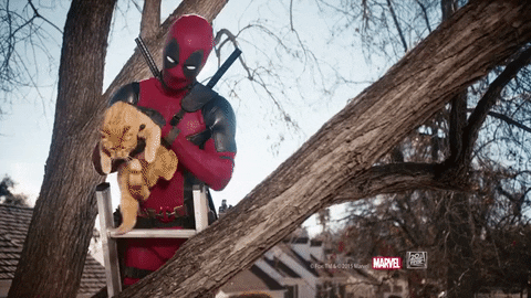 Deadpool Helping in funny gifs