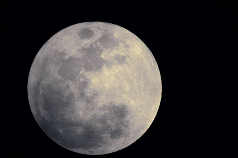  space moon full GIF