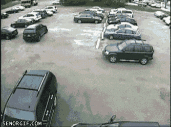 Parked perfectly in wtf gifs
