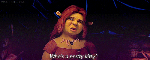 Princess Fiona Cat Find And Share On Giphy