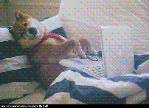 A dog coding on Codespaces