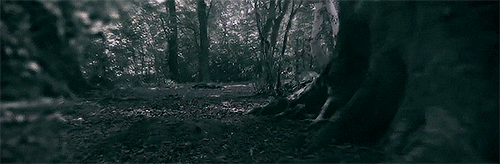 Image result for scary woods gifs