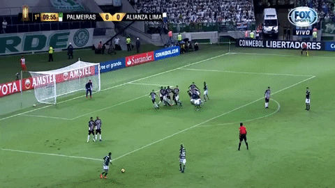 Alianza Lima Libertadores GIF by SE Palmeiras - Find ...