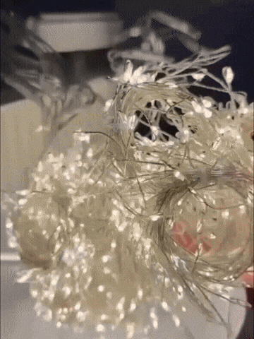 GIF
