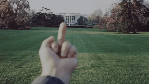 ai weiwei middle finger protest