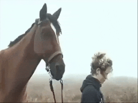 Mechanical real life horse in wow gifs