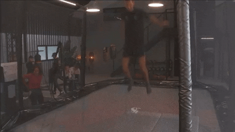 giphy.gif