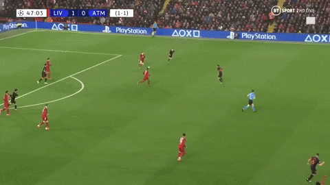 giphy.gif