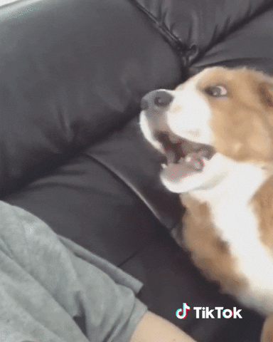 Securite Gifs Get The Best Gif On Giphy