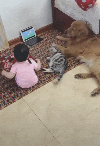 Family cartoon time in funny gifs