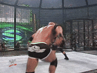 Goldberg spear