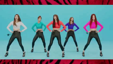 giphy.gif