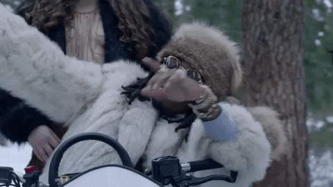 Music Video GIF by Migos - Find & Share on GIPHY