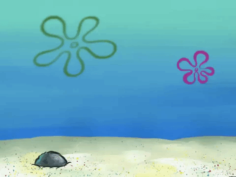 Season 6 Episode 10 GIF by SpongeBob SquarePants - Find & Share on GIPHY