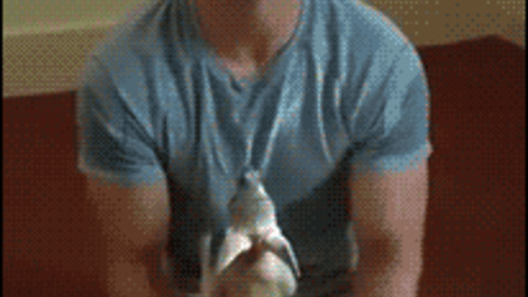 Pouch best Gif