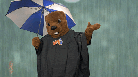 Groundhog GIF by Weather Underground - Find & Share on GIPHY