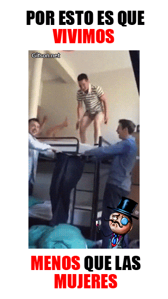 imagenes gif,imagenes graciosas, las mejores imagenes, imagenes graciosas, chistes, risas