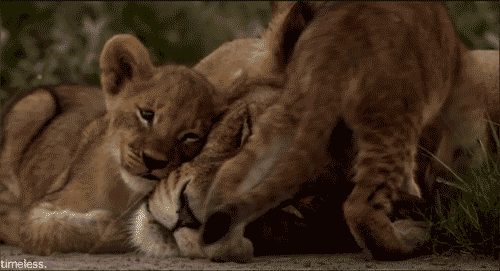 https://media.giphy.com/media/l0Ex5NPLl28zj8sJq/source.gif