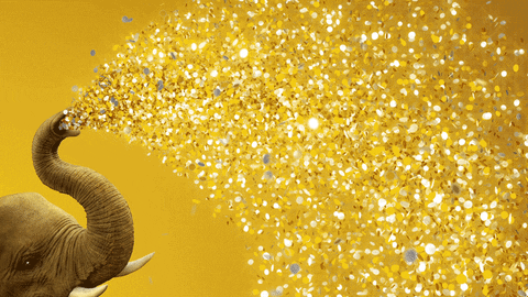 Celebrate New Year GIF by San Diego Zoo - Find & Share on GIPHY