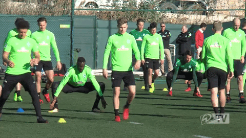 Werder Werderbremen GIF