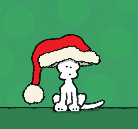Merry Christmas Dogs GIF by Chippy the dog - Find & Share on GIPHY