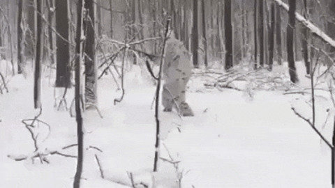 Hunting best Gif