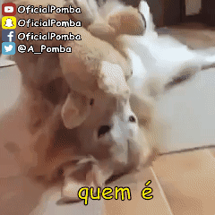 giphy.gif