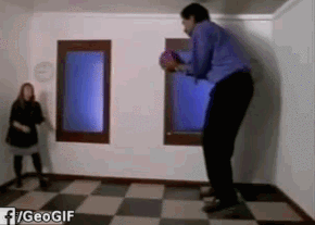 giphy.gif