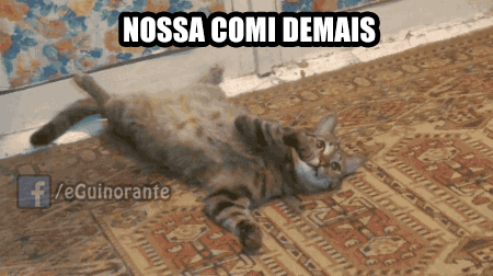 giphy.gif
