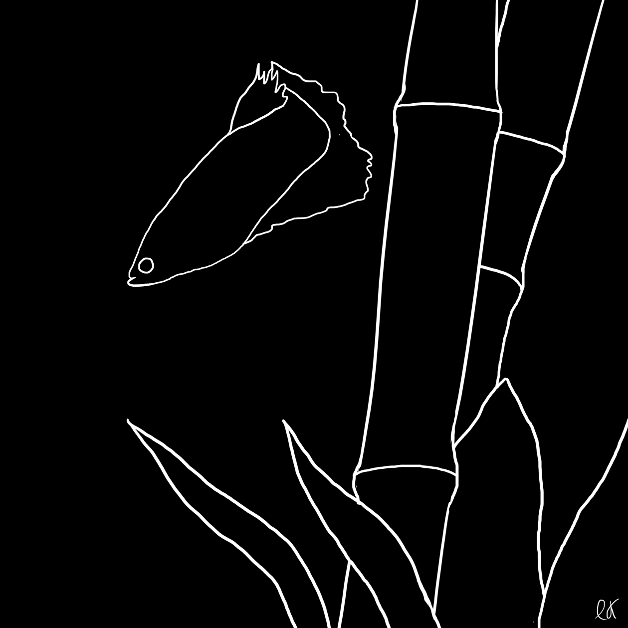 Water Fish GIF by littlekingdoms Find & Share on GIPHY