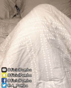 giphy.gif