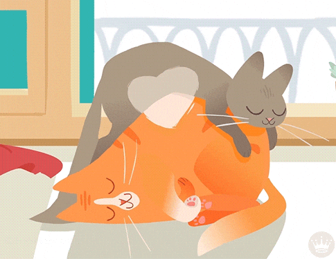 gif of a grey cartoon cat sleeping on top of a sleeping orange cat