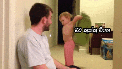 giphy.gif
