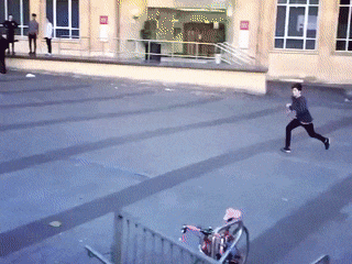 imagenes gif,imagenes graciosas, las mejores imagenes, imagenes graciosas, chistes, risas