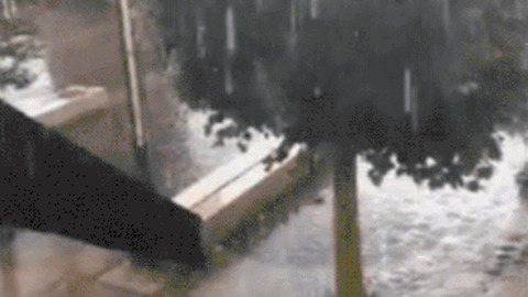 rain Wins funny Gif