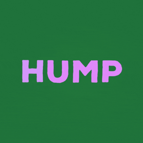 Hump Day GIFs - Find & Share on GIPHY