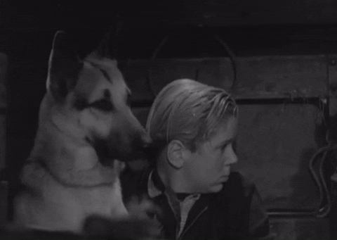 Classic Film Hug GIF by Warner Archive - Find & Share on GIPHY