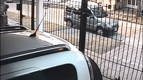 Presence Of Mind funny Gif