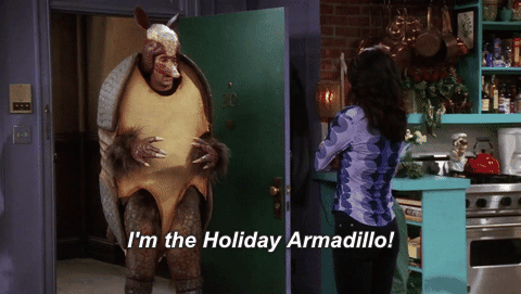 Friends Tv Holiday Armadillo GIF - Find & Share on GIPHY