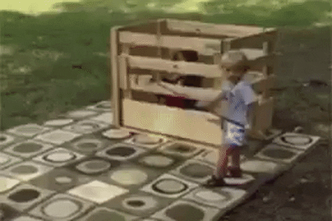 giphy.gif