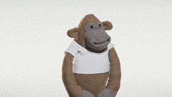 Pg Tips GIFs - Find & Share on GIPHY