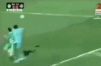 giphy.gif
