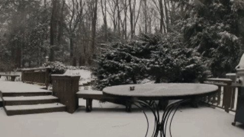 Snow Accumulating best Gif