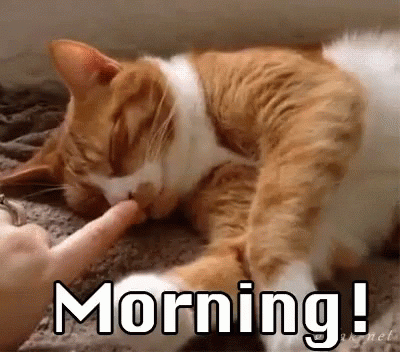 good morning morning wake up