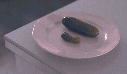 Pickles GIFs - Find & Share on GIPHY
